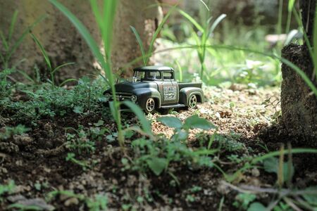 pickupのeditorial素材