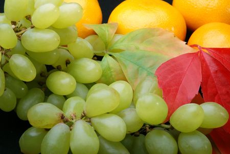 Grapes and tangerines with leavesの写真素材