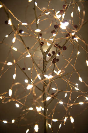 Composition wiht deadwood, barries and warm Christmas lightsの写真素材