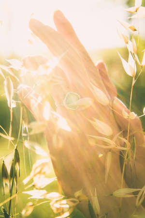 Hands of a girl with jewels in a sunny fieldの写真素材