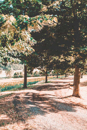 Details of an historical park in Italyの写真素材