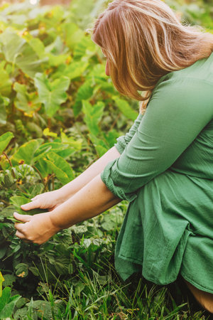 Caucasian adult female gardening in lush greenery with sunlit foliage.