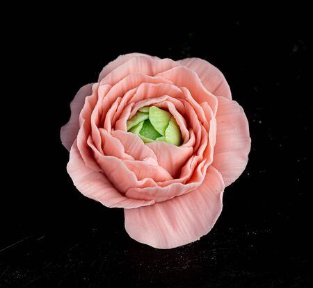 chocolate rose decor on blackの写真素材
