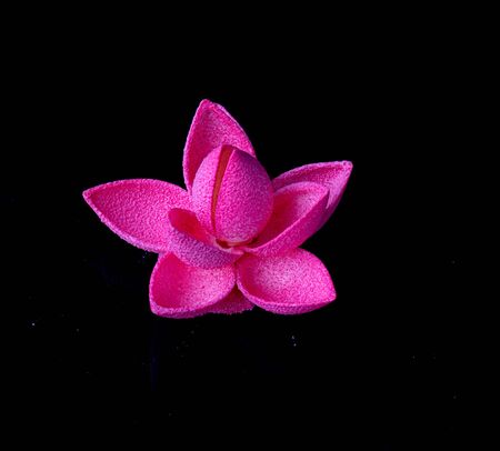 chocolate flower on black backgroundの写真素材