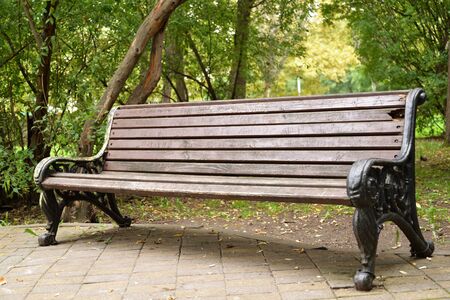 old bench in the city parkの写真素材