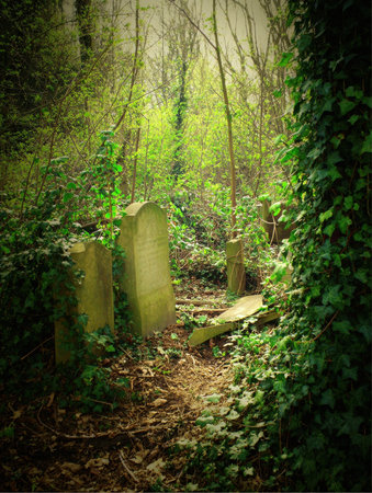 An overgrown path cuts through a cemetery with old, weathered tombstones. Ivy and other green plants are growing over the stones and surrounding the burial ground in London.の素材