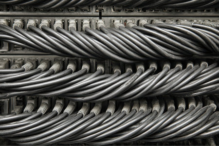 Several black ethernet cables are plugged into a patch panel. The cables are organized in neat rows, connecting network devices in a data center.の素材