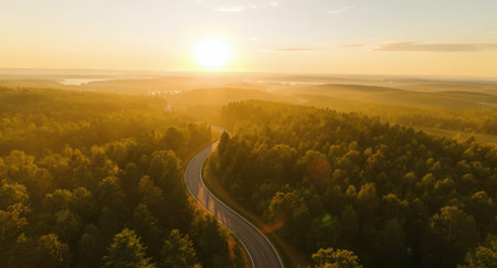 An aerial perspective captures a winding road traversing a vast, dense forest. The scene is bathed in the warm, golden light of either sunrise or sunset, creating long shadows and a luminous atmosphere. The sun appears low on the horizon, casting a brilliant glow across the expansive canopy. A few vehicles can be seen on the road, emphasizing scale and movement through the natural environment.の素材
