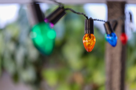 Strings of vibrant lights hang gracefully, casting a cheerful glow. They brighten the space,...