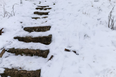 Snow blankets the ground as stone steps wind up a serene path. The quiet scene evokes a sense of peace in the crisp, cold air of winter.の写真素材