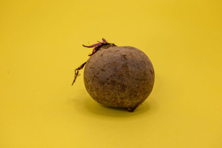 A single beet sits on a bright yellow background.の写真素材