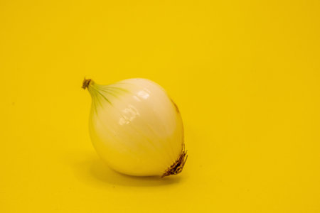 A single white onion sits on a bright yellow background.の写真素材