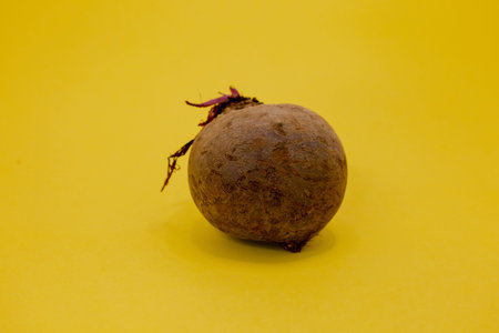 A single beet sits on a bright yellow background.の写真素材