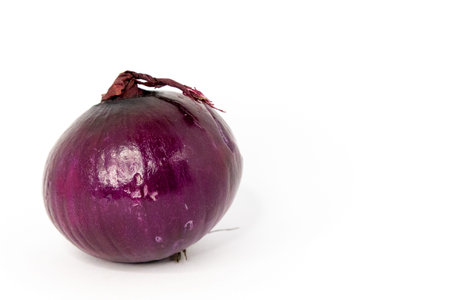 A single, fresh red onion on a white background, perfect for culinary use.の写真素材