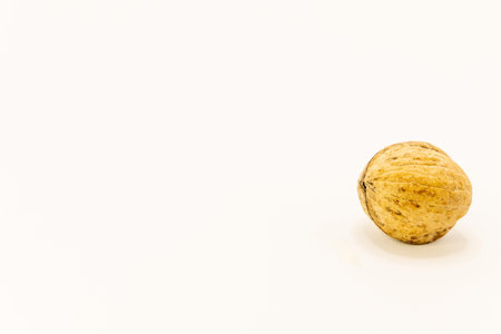 A single, whole walnut with its textured shell is prominently displayed on a clean white background.の写真素材