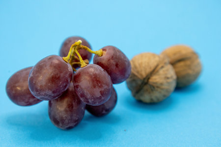 A bunch of grapes and walnuts sit on a blue background.の写真素材