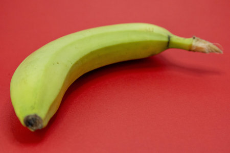 A single, unripe green banana rests on a vibrant red surface, suggesting a simple still life composition.の写真素材