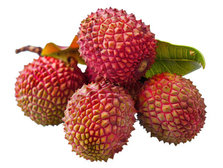 Fresh lychee fruits isolated on white background with clipping path.の素材