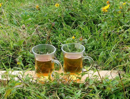 Tea in Turkish glasses in the meadowの写真素材