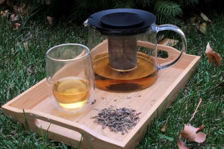 Tea drinking on the lawn in the autumn gardenの写真素材