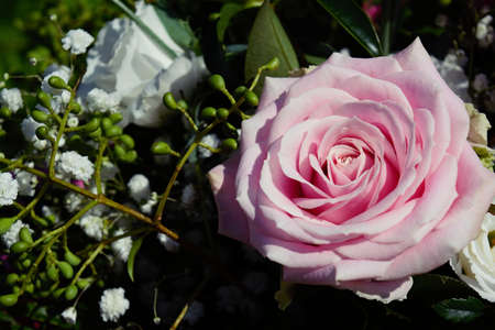 pink rose and white flowers in wedding bouquet closeupの写真素材