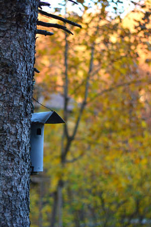 metal birdhouse on a tree in the woods during autumn season no peopleの写真素材