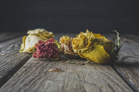 Dark photo dried flowers on a wooden table, black backgroundの写真素材