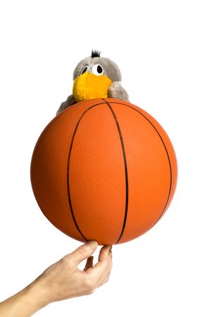 basketball with toyの写真素材