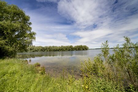 Lake and forest in sunny summer day.の写真素材