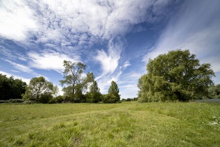 meadow and forest in sunny summer day.の写真素材