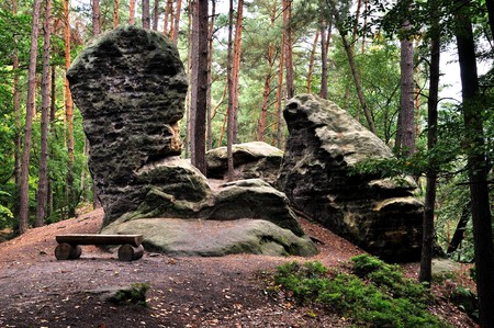The rosk Giant´s Head and Frog, Kokorinsko, Czech Republicの写真素材