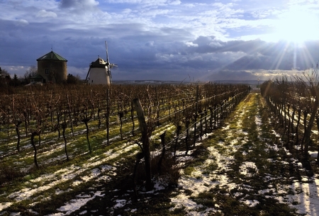 The windmill in the evening over Retz, Austriaのeditorial素材