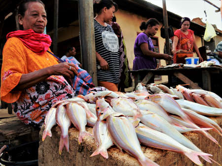 Kolaka, Indonesia - June 15, 2015: Sea fish sold in traditional marketsのeditorial素材