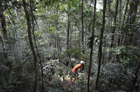 Illegal forest encroachment from protected forests