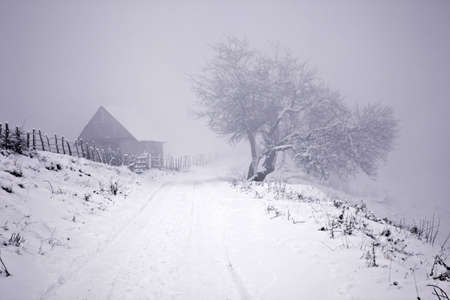 Winterの写真素材