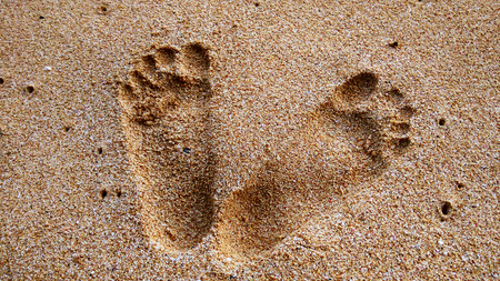 Footsteps on The Sandの写真素材