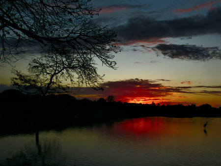 Evening Showersの写真素材