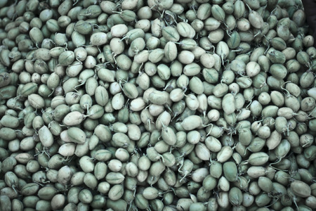 Organic peas. The pea is most commonly the small spherical seed or the seed-pod of the pod fruit Pisum sativumの写真素材