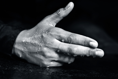 Human hands in various gesture.の写真素材
