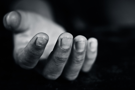 Human hands in various gesture.の写真素材