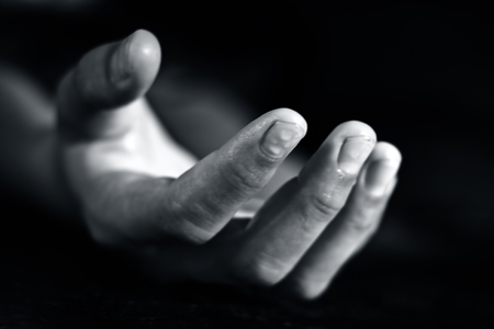 Human hands in various gesture.の写真素材