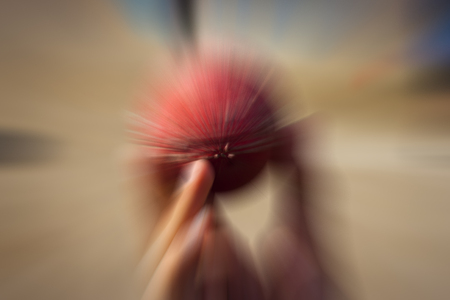Cricket ball with motion blurの写真素材
