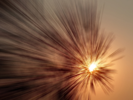 tree at sunset taken with motion blur effect.の写真素材