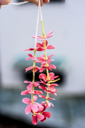 human hand holding garland of flower.の写真素材