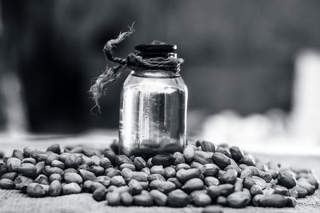[Arachis hypogaea] Raw Groundnut in a clay bowl with groundnut oil on a gunny background.の写真素材