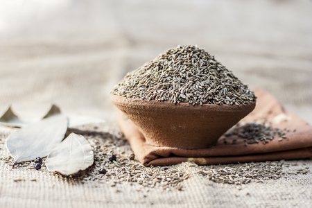 Cumin/Cuminum cyminum  in a clay bowl.の写真素材