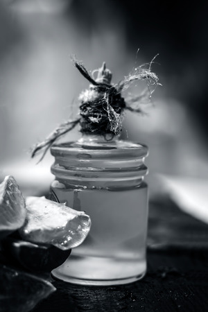 barbadensis,Aloe Vera and its extracted oil in a transparent bottle for hair loss and beauty products.の写真素材