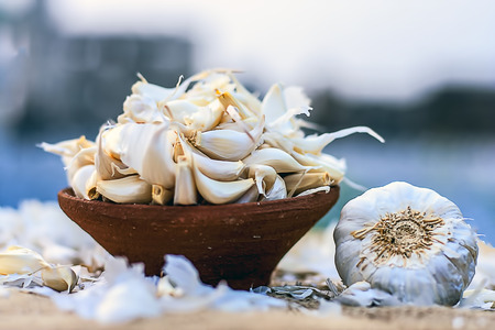 Allium sativum, Raw Garlic in a clay bowl on a gunny background.の写真素材