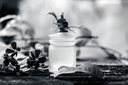 Combretum indicum,Rangoon creeper's oil in a glass bottle on rustic wooden surface with it's flowers.の写真素材