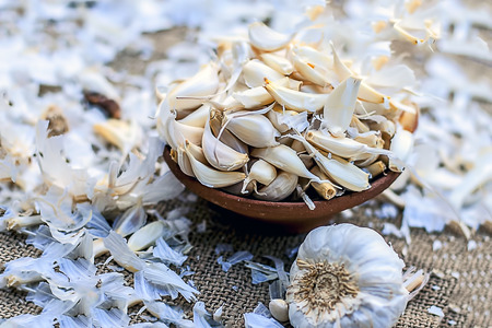 Allium sativum, Raw Garlic in a clay bowl on a gunny background.の写真素材